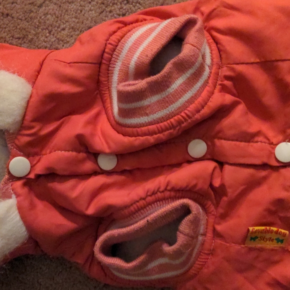 ❤️ Loveable Dog Hooded Jacket Small FANCY PUNK - Picture 5 of 9